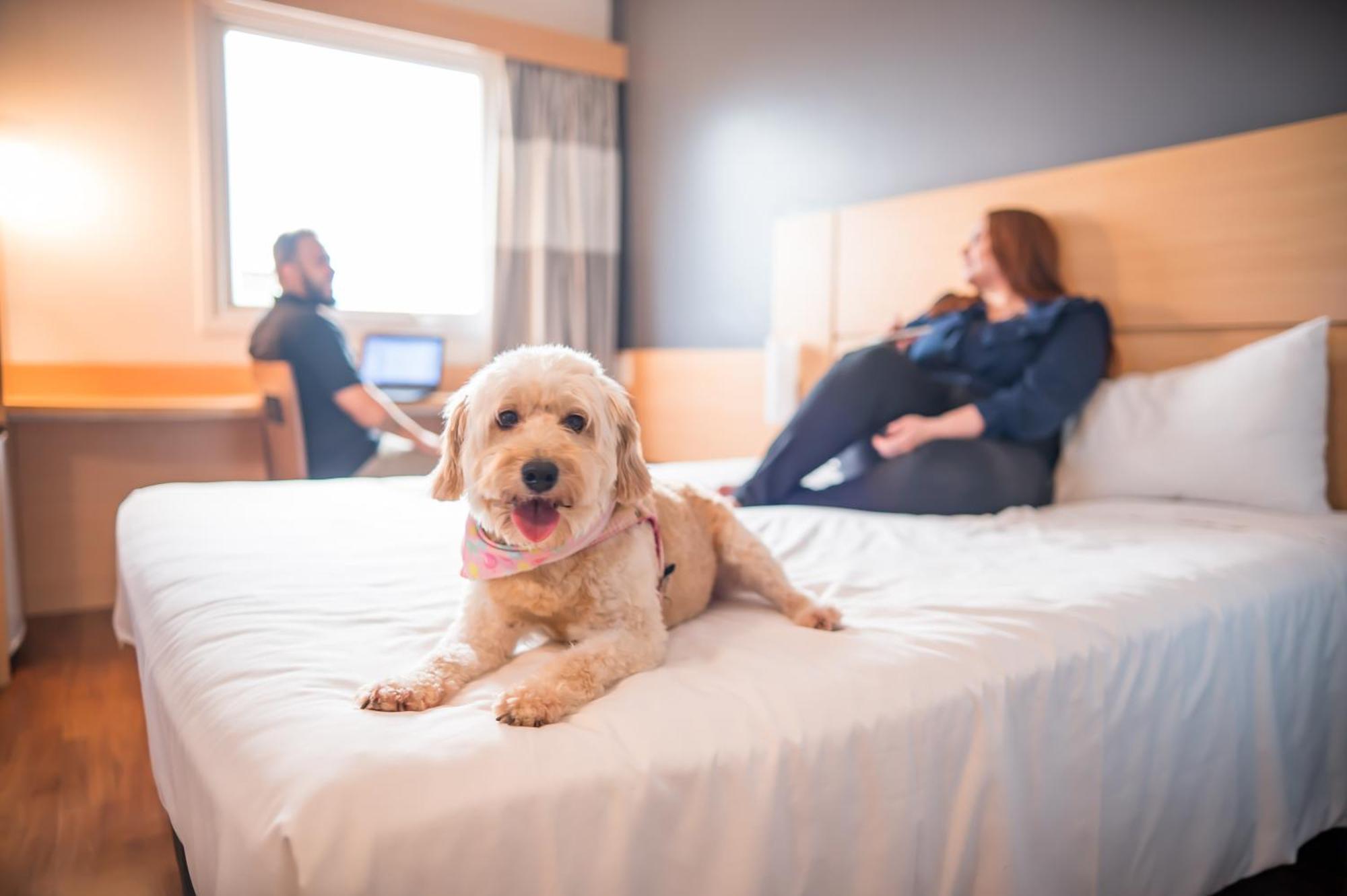 Отель Ibis Itu Plaza Shopping Экстерьер фото